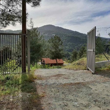 The Cosy Mountain Cabin With Stunning Views Near Troodos Kato Amiandos المظهر الخارجي الصورة