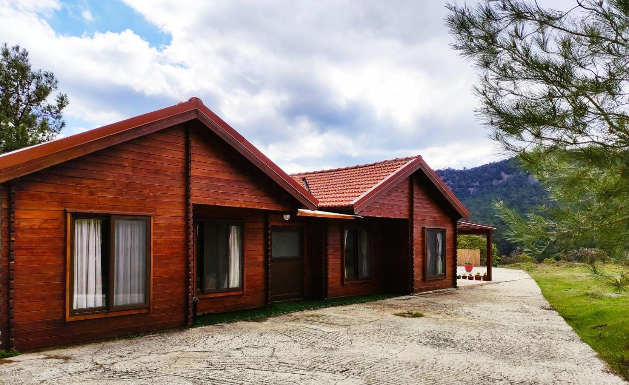 The Cosy Mountain Cabin With Stunning Views Near Troodos Kato Amiandos المظهر الخارجي الصورة