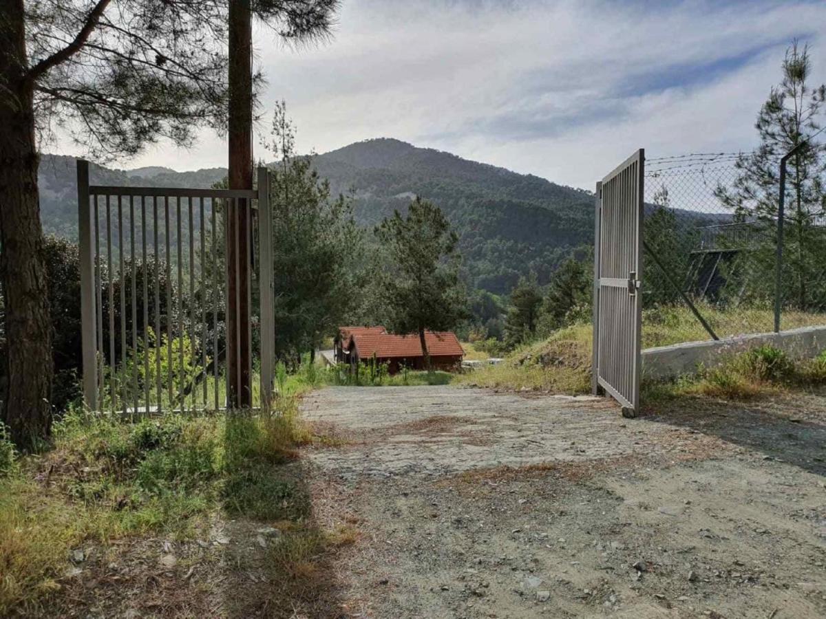 The Cosy Mountain Cabin With Stunning Views Near Troodos Kato Amiandos المظهر الخارجي الصورة