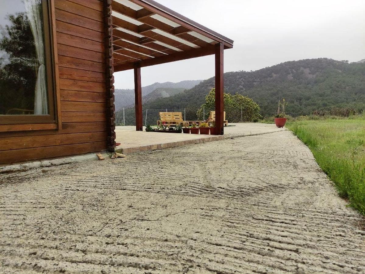 The Cosy Mountain Cabin With Stunning Views Near Troodos Kato Amiandos المظهر الخارجي الصورة